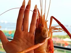 -阳澄湖半岛旅游度假区