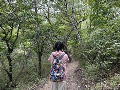 -灵山