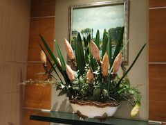 -世外桃源水疗会(皇庭彩园店)