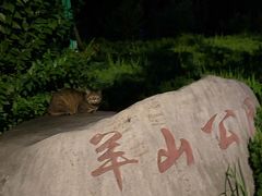 -羊山湖公园