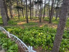 -黑龙江省森林植物园