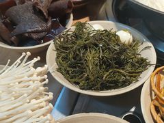 -阳阳老火锅(小南门店)