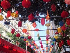 -越秀西湖花市(广州城市广场花卉店)