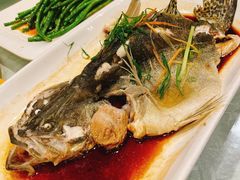 清蒸皖鱼-大树头森林餐厅(番禺广场店)