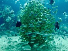 -福州罗源湾海洋世界旅游区