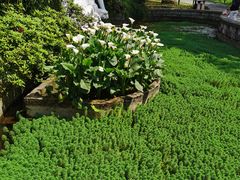 -南山植物园