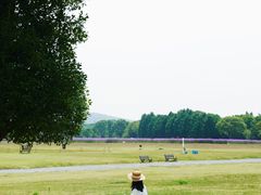 -山明水秀大饭店