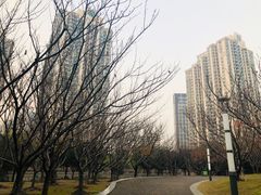 -苏州河梦清园环保主题公园