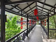 -侨美·唐荔园·40年地道粤菜