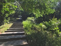 -玉树公园