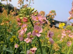 -洪湖家庭农场·团建·露营·会议