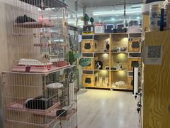 -宝鸡东道花鸟鱼虫市场(吉利花园商场店)