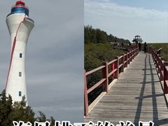 -北海金海湾红树林生态旅游区