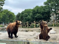 -常州淹城野生动物世界