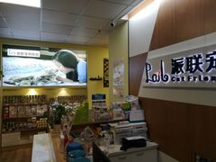 -派联宠物医院·24h·CT·异宠