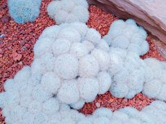 -南通洲际绿博园