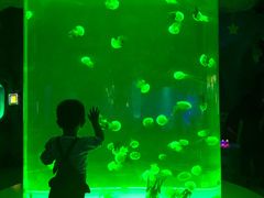 -台州海洋世界