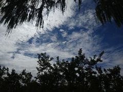 -济南国际园博园