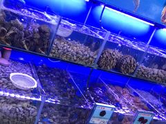 -阿浪海鲜连锁•海鲜加工•老字号(第一市场店)