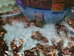 -西贝海鲜汇(槐安路店)
