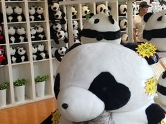 -大连森林动物园熊猫馆纪念品商店