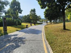 -宝安西湾红树林湿地公园