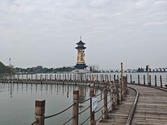 -溱湖国家湿地公园