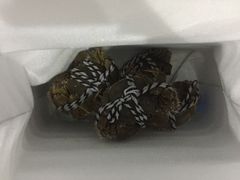 -喜洋洋蟹庄(阳澄湖店)