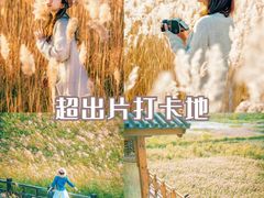 -沉浸北京·团建旅行·密室剧本杀·年会会议轰趴拓展