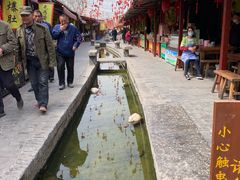 -茯茶镇