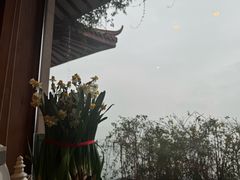 -湖畔居茶楼(湖滨店)
