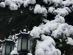 -钓鱼台国宾馆