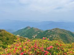 -大围山国家森林公园