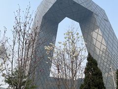 -中央广播电视总台(光华路办公区)