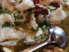 -利华煲店(崇福店)
