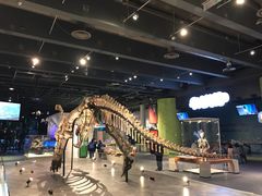 -香港科学馆