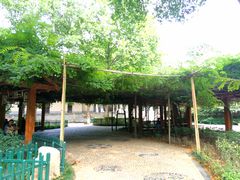 -西安市长乐公园