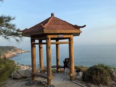 -广东惠东海龟国家级自然保护区