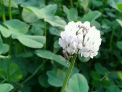 -中家鑫园温泉酒店鑫悦汤泉