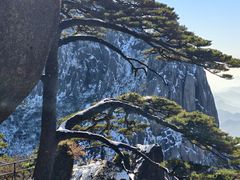 -黄山玉屏楼宾馆餐厅