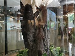 -下渚湖国家湿地公园科普馆