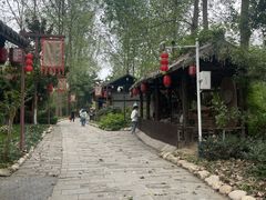 -合肥滨湖国家森林公园