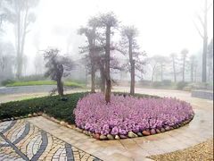 -南山植物园