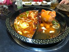 -渝大龙重庆火锅(温泉月亮湾店)