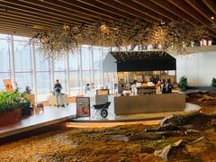 -Seesaw Coffee(朝阳大悦城店)