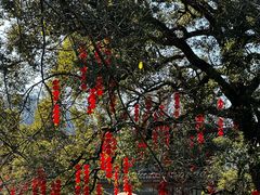 -中国茶叶博物馆(双峰馆区)
