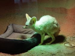 -酷嗒动物文化乐园(cutezoo西溪乐天城店)