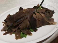 刷锅毛肚-富黎华海鲜大酒楼(正大广场店)