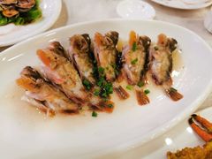 -普陀山祥生大酒店