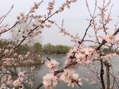 -东郊湿地公园